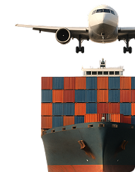 Conoce nuestros Precios y Métodos de Envío